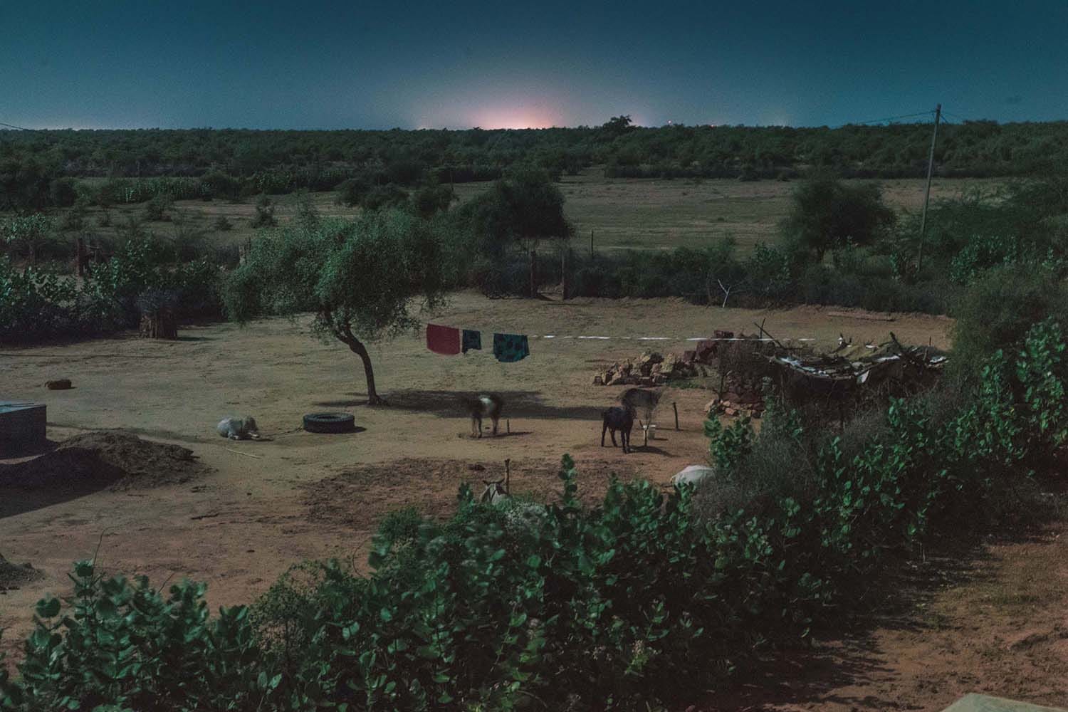 Laundry hangs on a line. There are a few animals around, but no people. The sun is on the horizon. 