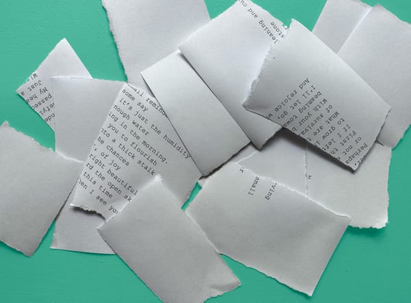 Pieces of torn-up paper with the lines of a poem on them are scattered on a teal background.