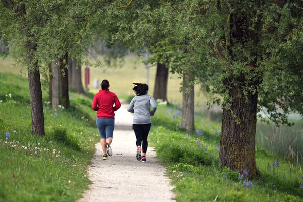 Two women jog away from the camera along a tree-lined path.