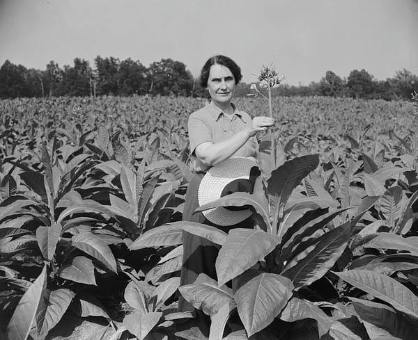 Black and white photograph of Nellie Tayloe Ross, a white woman with her dark hair pulled back, in a field of flowers. She holds one for the camera.